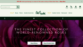 What Classicroses.co.uk website looked like in 2023 (1 year ago)