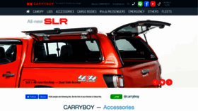 What Carryboy.com website looked like in 2023 (This year)