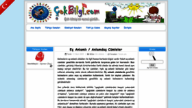 What Cokbilgi.com website looked like in 2023 (This year)