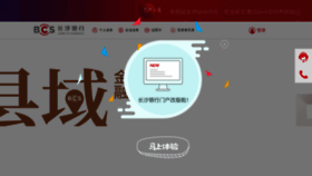 What Cscb.cn website looked like in 2023 (This year)