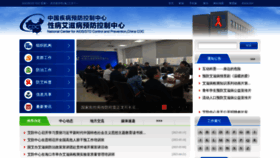 What Chinaaids.cn website looked like in 2023 (This year)