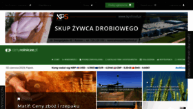 What Cenyrolnicze.pl website looked like in 2023 (2 years ago)