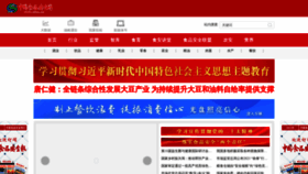 What Cfsn.cn website looked like in 2023 (2 years ago)