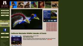 What Cawatchablewildlife.org website looked like in 2023 (This year)