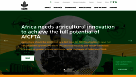 What Cgiar.org website looked like in 2023 (This year)