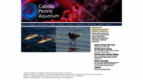 What Cabrillomarineaquarium.org website looked like in 2023 (This year)