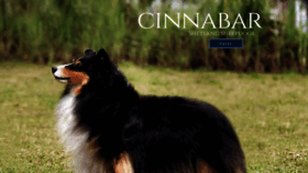 What Cinnabarshetlandsheepdogs.com website looked like in 2023 (This year)