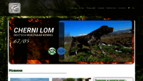 What Cherni-lom.com website looked like in 2023 (This year)
