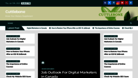 What Cuttlebone.net website looked like in 2023 (This year)