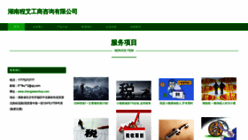 What Chengaiwenhua.com website looked like in 2023 (This year)