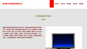 What Chengzimeishu.com website looked like in 2023 (This year)