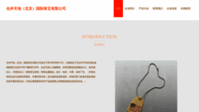 What Chinacytd.com website looked like in 2023 (This year)
