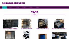 What Cangzhouruihai.com website looked like in 2023 (This year)