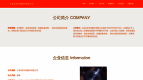 What Ccskyiyuan.com website looked like in 2023 (This year)