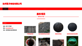 What Czjinyue.com website looked like in 2023 (This year)