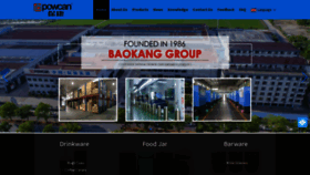 What Chinabaokangs.com website looked like in 2023 (This year)