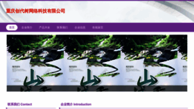 What Chuangdaishu.com website looked like in 2023 (This year)