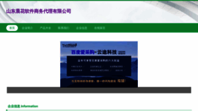 What Chenhuaruanjian.com website looked like in 2023 (This year)