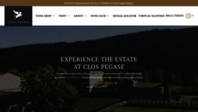 What Clospegase.com website looked like in 2023 (This year)