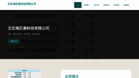 What China-hpisoft.com website looked like in 2023 (This year)