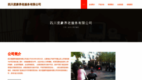 What Chinadhyl.com website looked like in 2023 (This year)