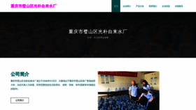 What Chongqingshibishanquguangpuzilaishuichang.com website looked like in 2023 (This year)