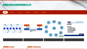 What Cdwangxiang.com website looked like in 2023 (This year)