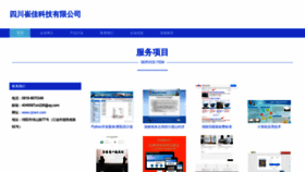 What Cjnem.com website looked like in 2023 (This year)