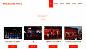What Chengshivr.com website looked like in 2023 (This year)