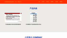 What Chinatangfund.com website looked like in 2023 (This year)