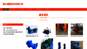 What Chenglongpump.com website looked like in 2023 (This year)
