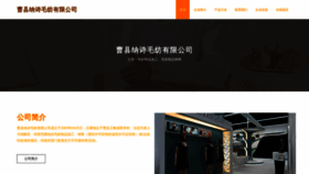 What Chinasdsx.com website looked like in 2023 (This year)