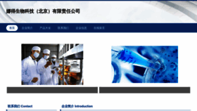What China-nad.com website looked like in 2023 (This year)