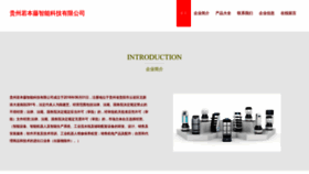 What Chinarobotn.com website looked like in 2023 (This year)