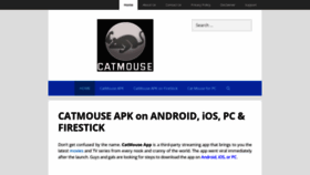 What Catmouseapk.org website looked like in 2023 (This year)