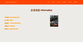 What Cdjiyou.com website looked like in 2023 (This year)