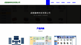 What Cdqinzheng.com website looked like in 2023 (This year)