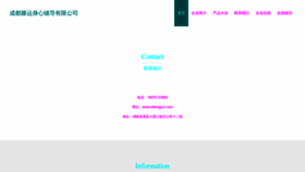 What Cdtengyun.com website looked like in 2023 (This year)
