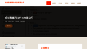 What Cdweidai.com website looked like in 2023 (This year)