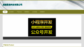 What Cdxinghou.com website looked like in 2023 (This year)