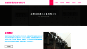 What Cdtianfei.com website looked like in 2023 (This year)