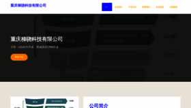 What Cqtixiao.com website looked like in 2023 (This year)