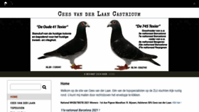 What Ceesvanderlaan.nl website looked like in 2023 (This year)