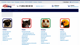 What Catdogzoo.ru website looked like in 2023 (This year)