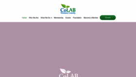 What Colabvc.org website looked like in 2023 (This year)