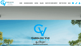 What Carolinavue.com website looked like in 2023 (This year)