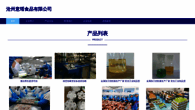 What Czyiyao.cn website looked like in 2023 (This year)