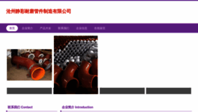 What Czjingcai.cn website looked like in 2023 (This year)