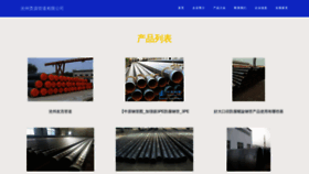 What Czgvg.cn website looked like in 2023 (This year)