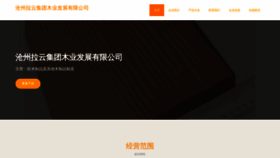 What Czrly.cn website looked like in 2023 (This year)
